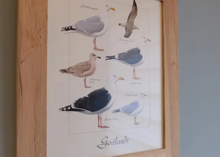 Vakantiehuis Les Mollieres, De Charme, Centre Le Crotoy